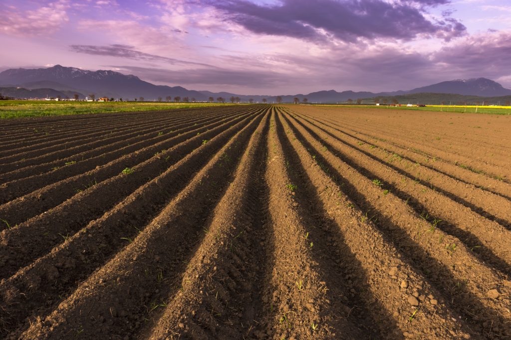 Nowelizacja ustawy o kształtowaniu ustroju rolnego – uwolnienie obrotu gruntów rolnych?